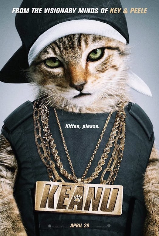 A cat wearing a black hat with a chunky golden chain that says "Keanu" around its neck.
