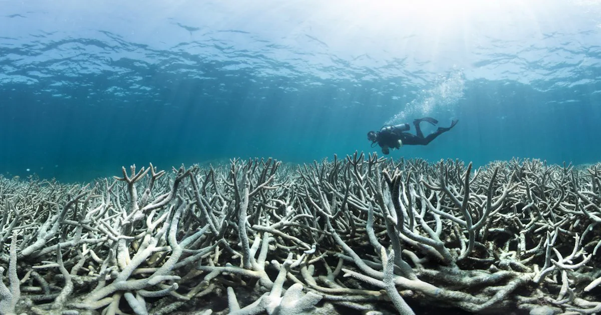 Science Recap The Best Science Documentaries on Netflix in July, Ranked