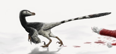 An illustration of a christmas Velociraptor, whose diet includes jolly men dressed in red.
