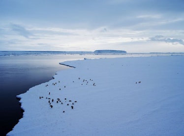 Antarctica sea level rise