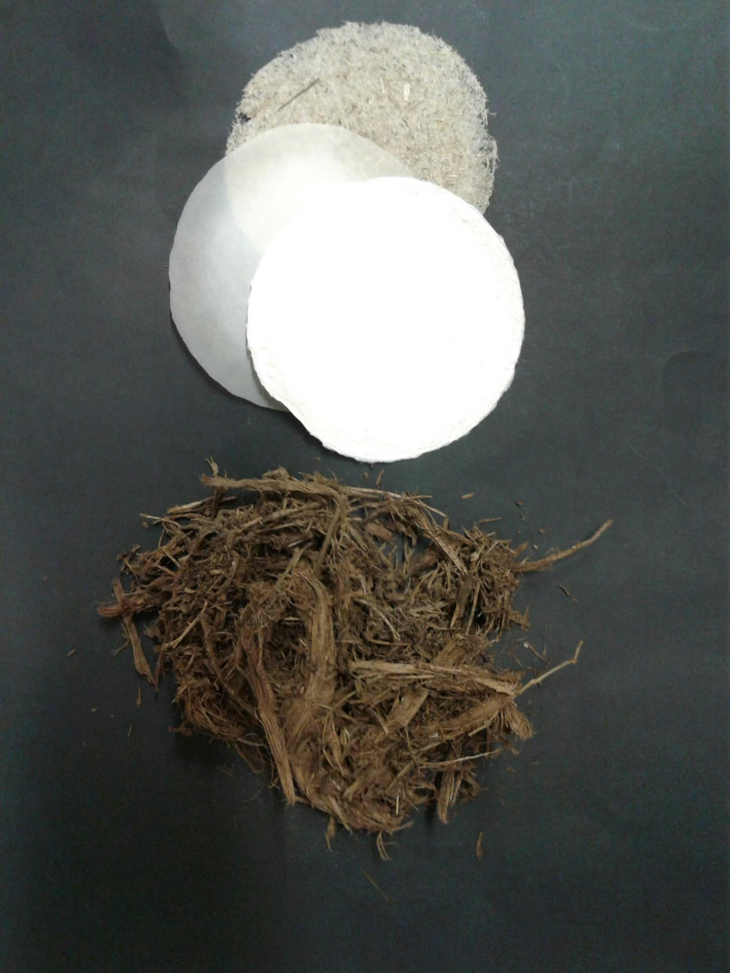 In the Future, Paper Will be Made Out of Elephant and Cow Poop