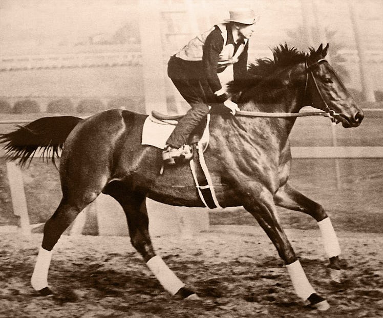 Seabiscuit workout