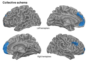 fMRI, collective memories, brain scans 