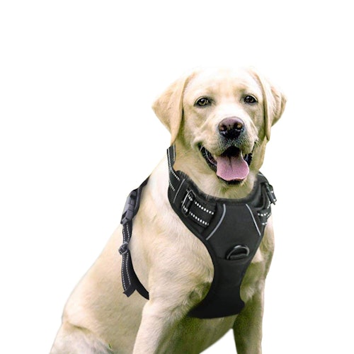 Rabbitgoo Dog Harness