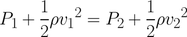 Formula for the Bernoulli Equation.