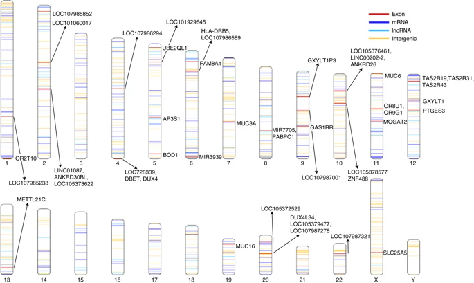 There's a Huge Problem With the Core of the Human Genome Project