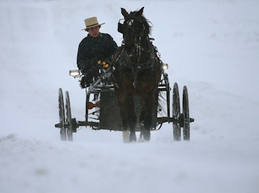 amish buggy