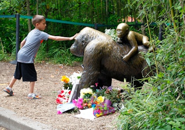 A boy touching the late gorilla Harambe statue
