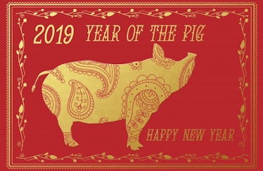 Year Of The Pig 2019 Free Stock Photo - Public Domain Pictures