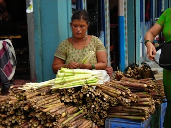 A woman sells bamboo shoots in Pokhara, Nepal.