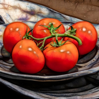 Five gene-edited tomatoes on a plate