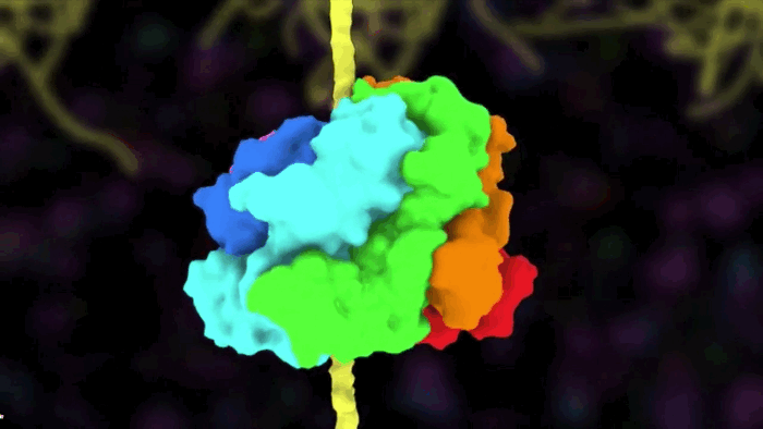 Scientists Figure Out How The Body Pulls Apart Misfolded Proteins