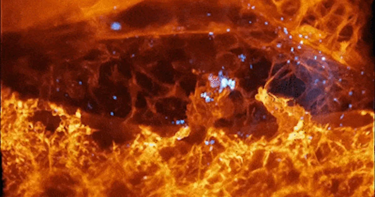 New Microscope Gives Unprecedented High-Res View Inside Human Cells