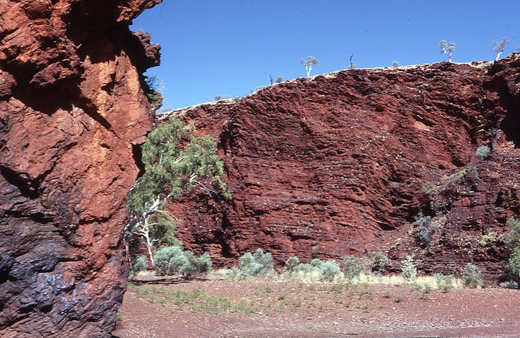 pilbara western australia