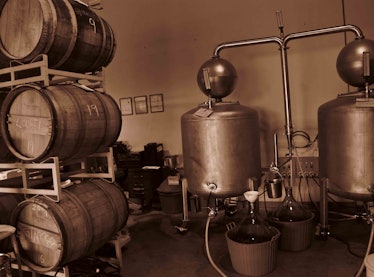 Distilling Moonshine