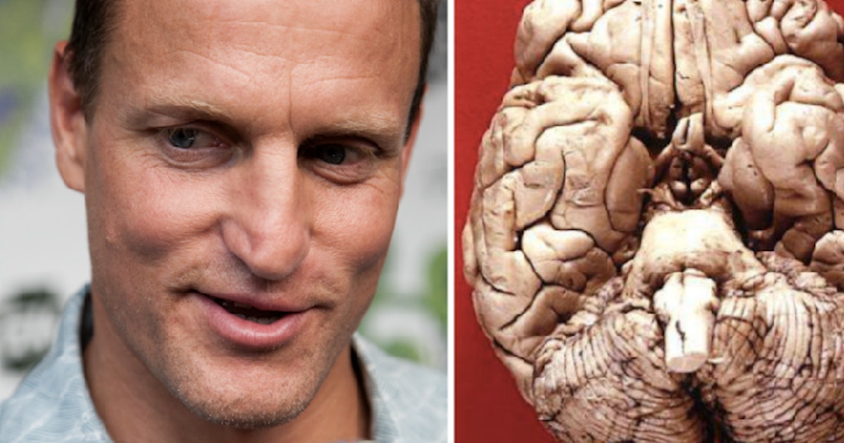What Quitting Marijuana After 30 Years Does to Your Brain