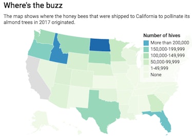 honey bees map