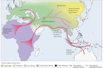 hominin map
