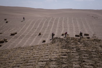 In China, women are planting grass-checkered sand barriers to prevent climate change-induced deserti...