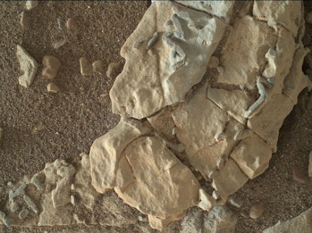 Mars Rover sesame seed 