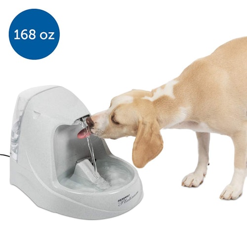 PetSafe Drinkwell Platinum or 1 Gallon Pet Water Fountain
