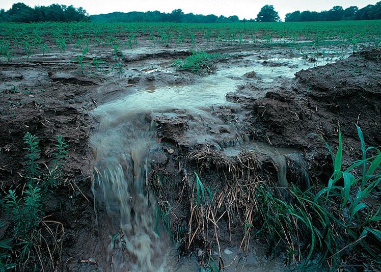 farm fertilizer, runoff, agriculture