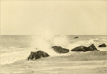 Waves crashing on Martha's Vineyard.