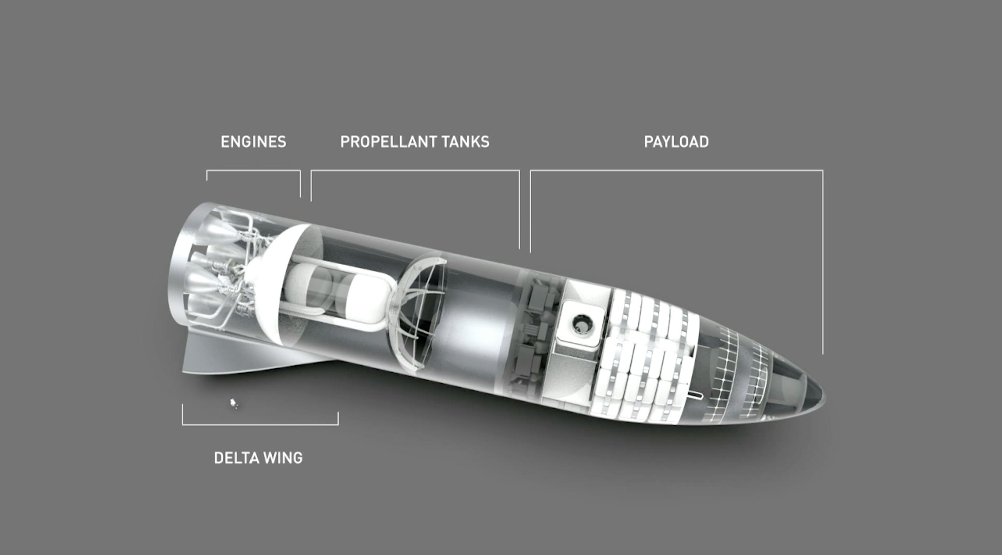 SpaceX's Starship: Elon Musk's Dream of a Mars Rocket Is ...