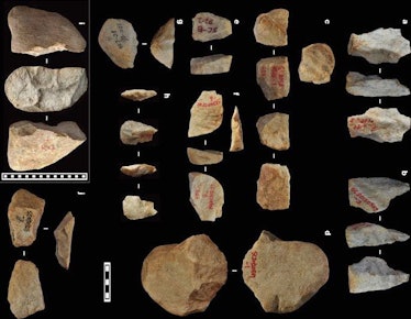 ancient stone tools, homo erectus. 