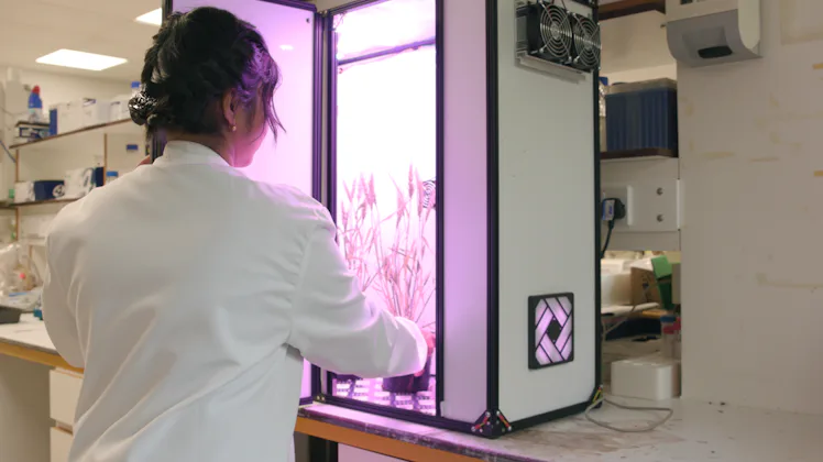Speed Breeding Technology Video Shows How NASA-Inspired Crop Technology Could Improve Food on Earth
