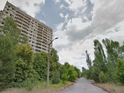 A small road, a streetlamp and bushes next to a building in the ghost town of Pripyat