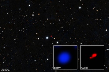 NASA’s Chandra X-ray Observatory image reveals shrouded black hole