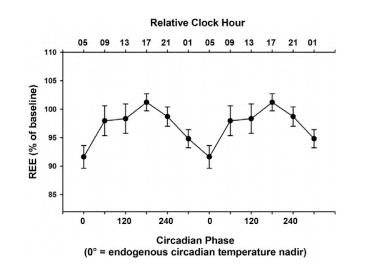 calorie burning circadian clock