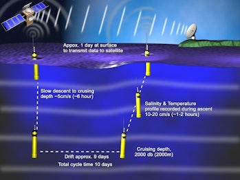 Normal cycle of an Argo float collecting ocean temperature and salinity data.