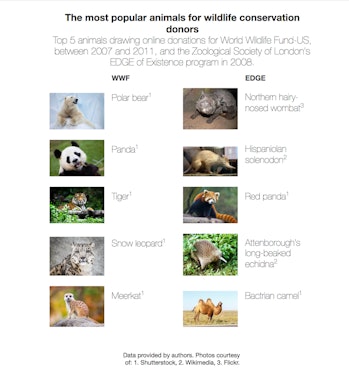 The Conversation animal conservation donation