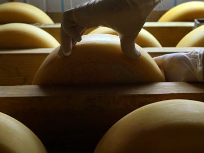 A hand touching a piece of cheese 