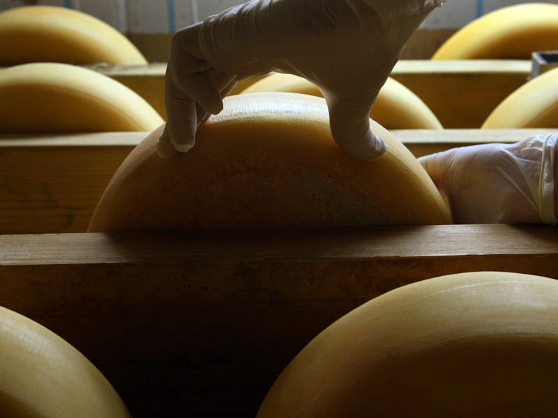 A hand touching a piece of cheese
