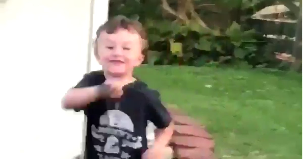 The A Knife Video Scientifically Very Hard To Only Watch Once The A Knife Video Scientifically Very Hard To Only Watch Once