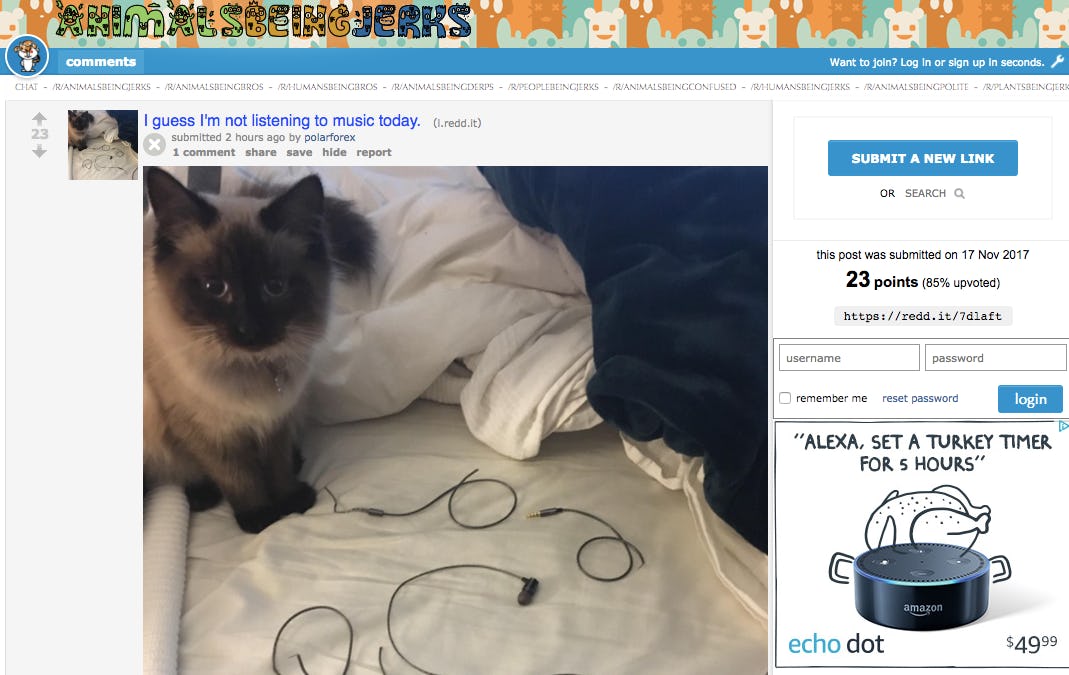 The 12 Best Animal Subreddits in One Ranked List, From Cute To Bizarre