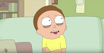 Poor Morty just "can't go on like this with the Truth Tortoise shit in his head."