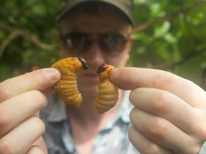 A man holding two bugs before eating them