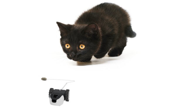 robot mouse cat toy