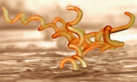 Can You Pop a Syphilis Sore? How to Notice the Earliest Signs of Syphilis