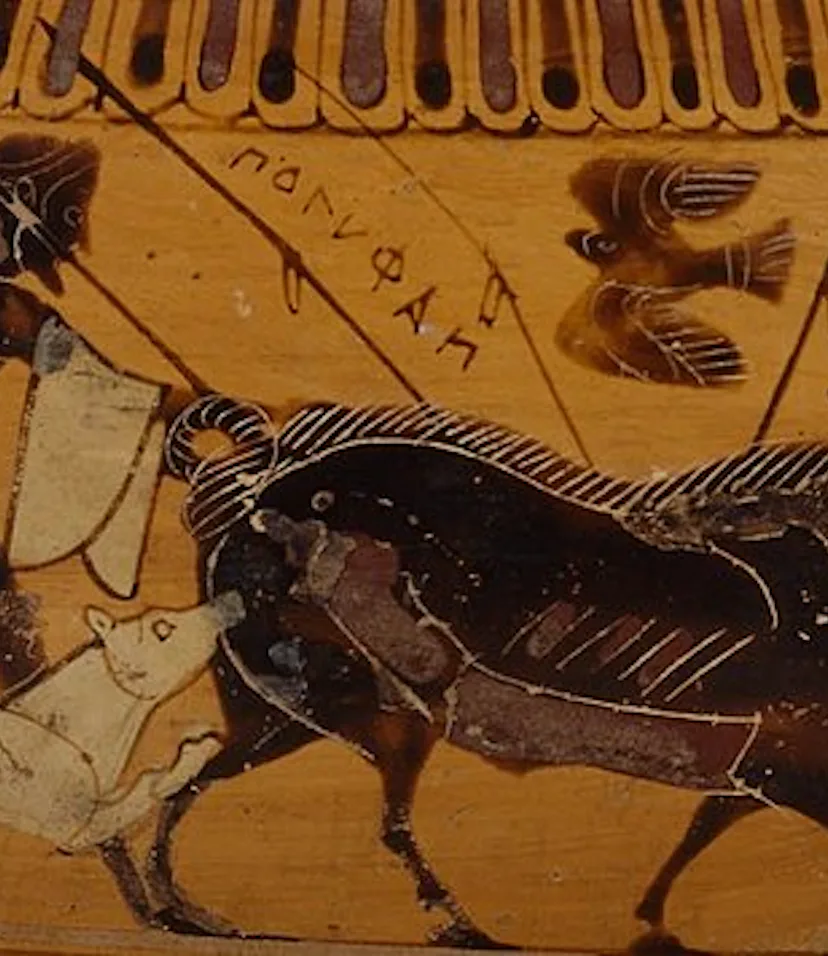 Huge Migration Study Reveals New Patterns of Ancient Human Movement