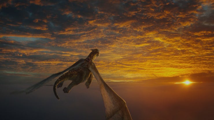 Brown dragon flying above the sea towards the sunset 