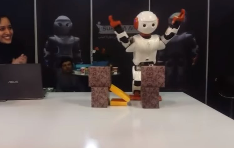 robot karate chop tehran iran mini