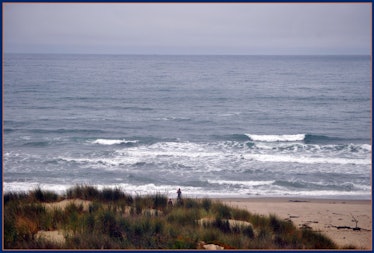Surf beach california