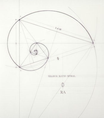 Download Rafael Araujo Draws Perfect Illustrations By Hand Using Math S Golden Ratio