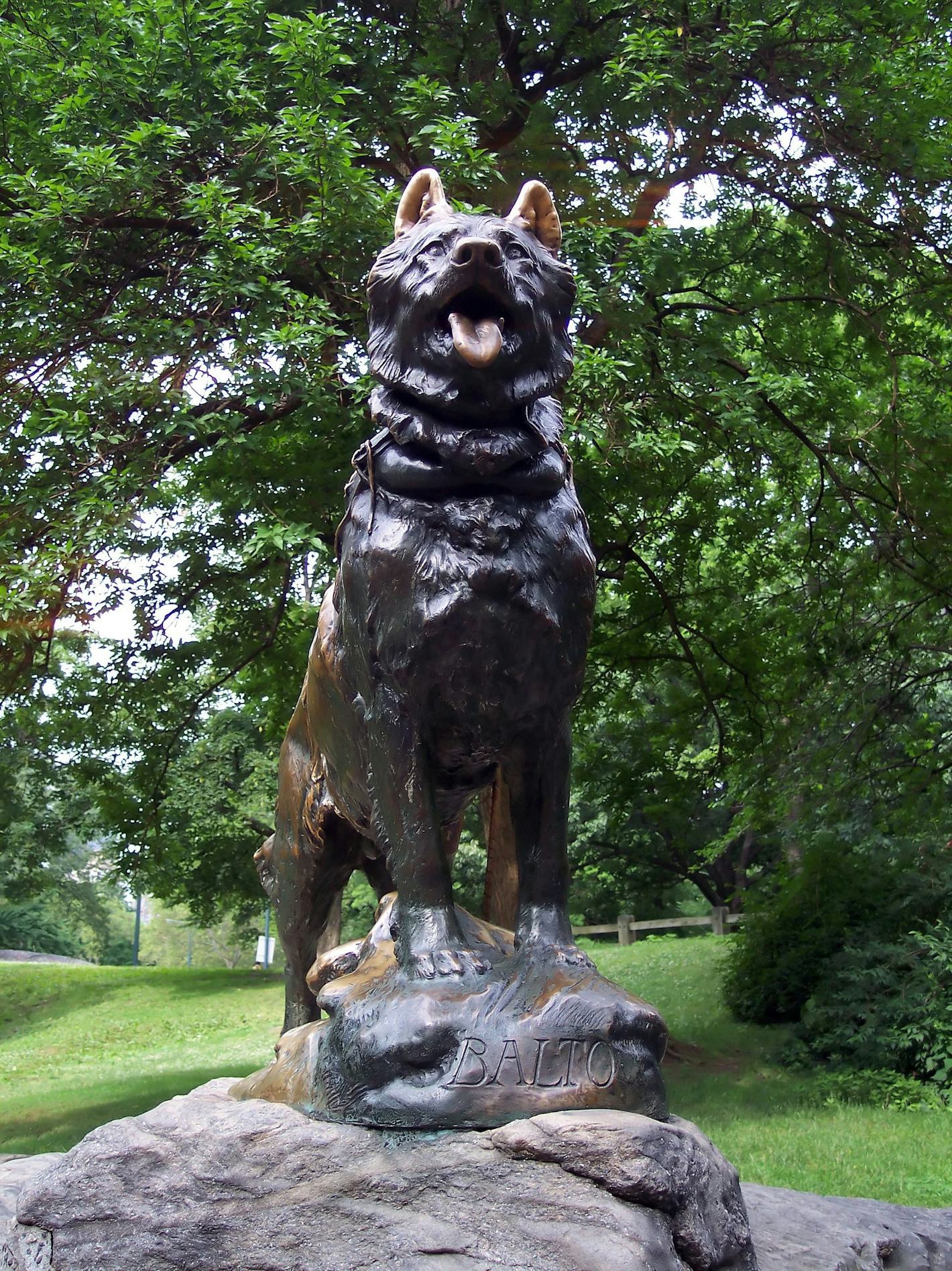 Sta Balto - qxhscgk