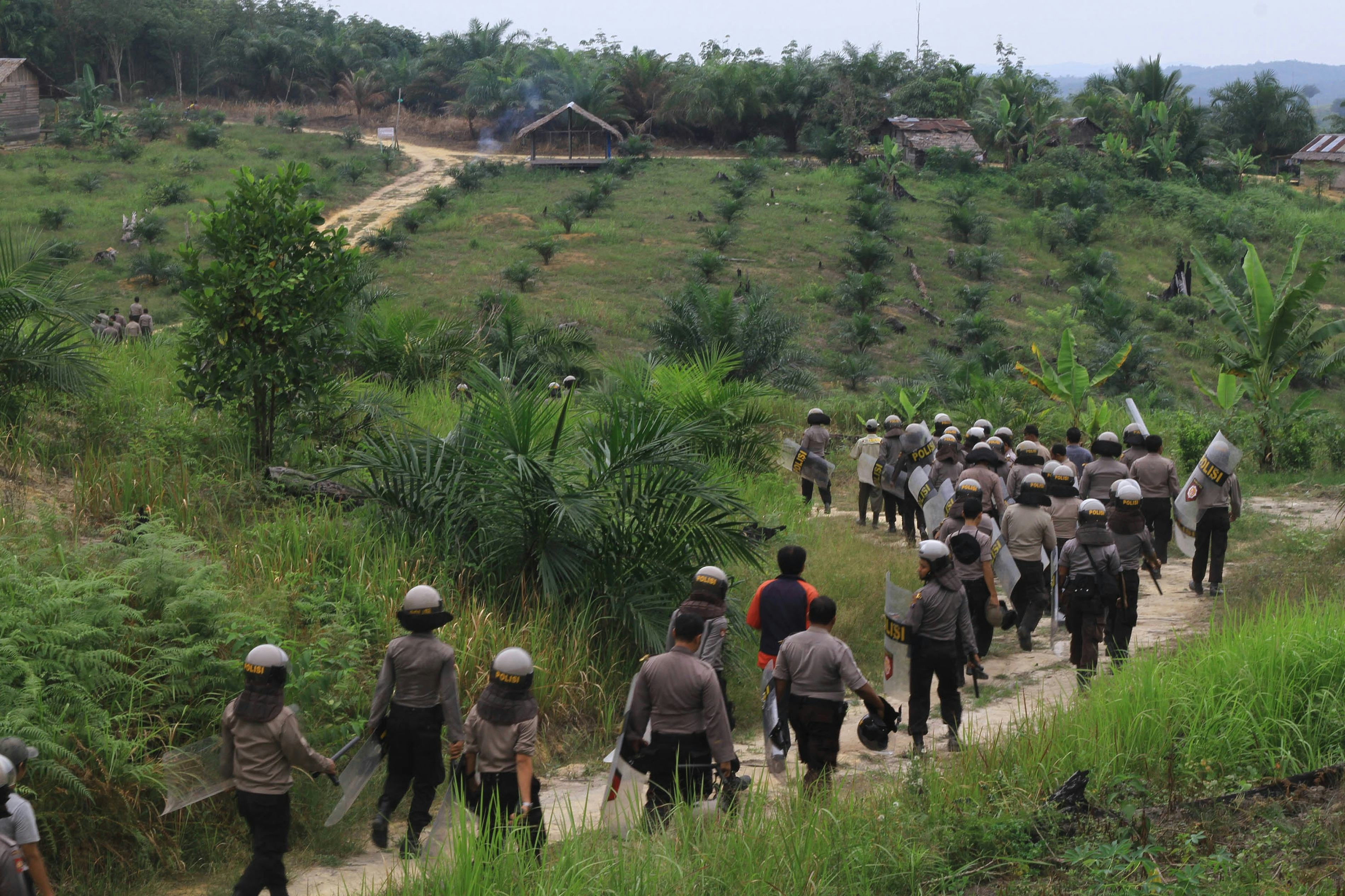Is Nutella Bad for The Environment? Palm Oil Is, But Swearing Off The